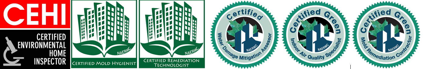 NAERMC Certification Badges: CEHI, Certified Mold Hygienist, Certified Remediation Technologist, Certified Water Damage Mitigation Assessor, Certified Green Indoor Air Quality Specialist, Certified Green Mold Remediation Contractor